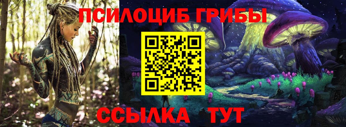 Волгоград  Галлюциногенные грибы ЛСД  хочу   Вход с VPN 