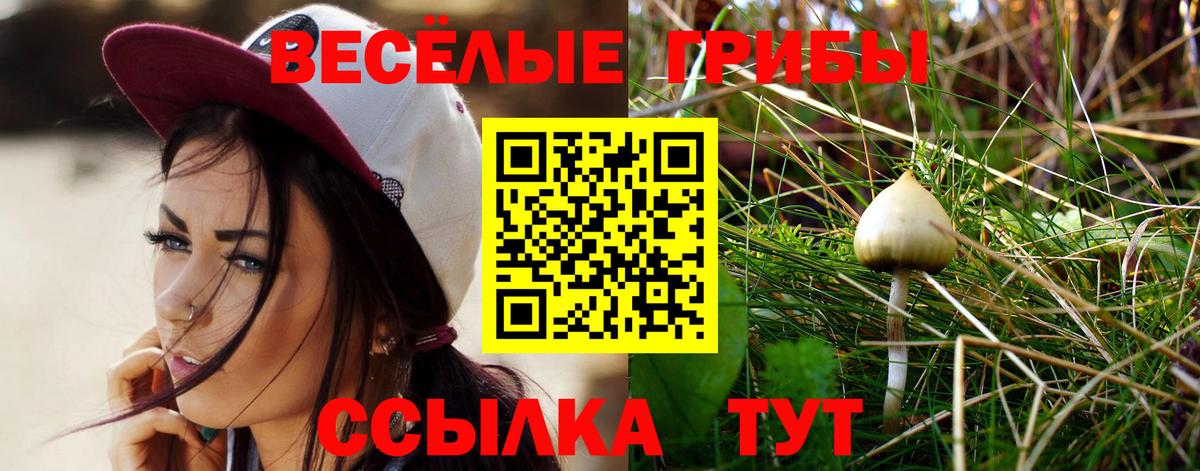 Псилоцибиновые грибы мицелий Волгоград